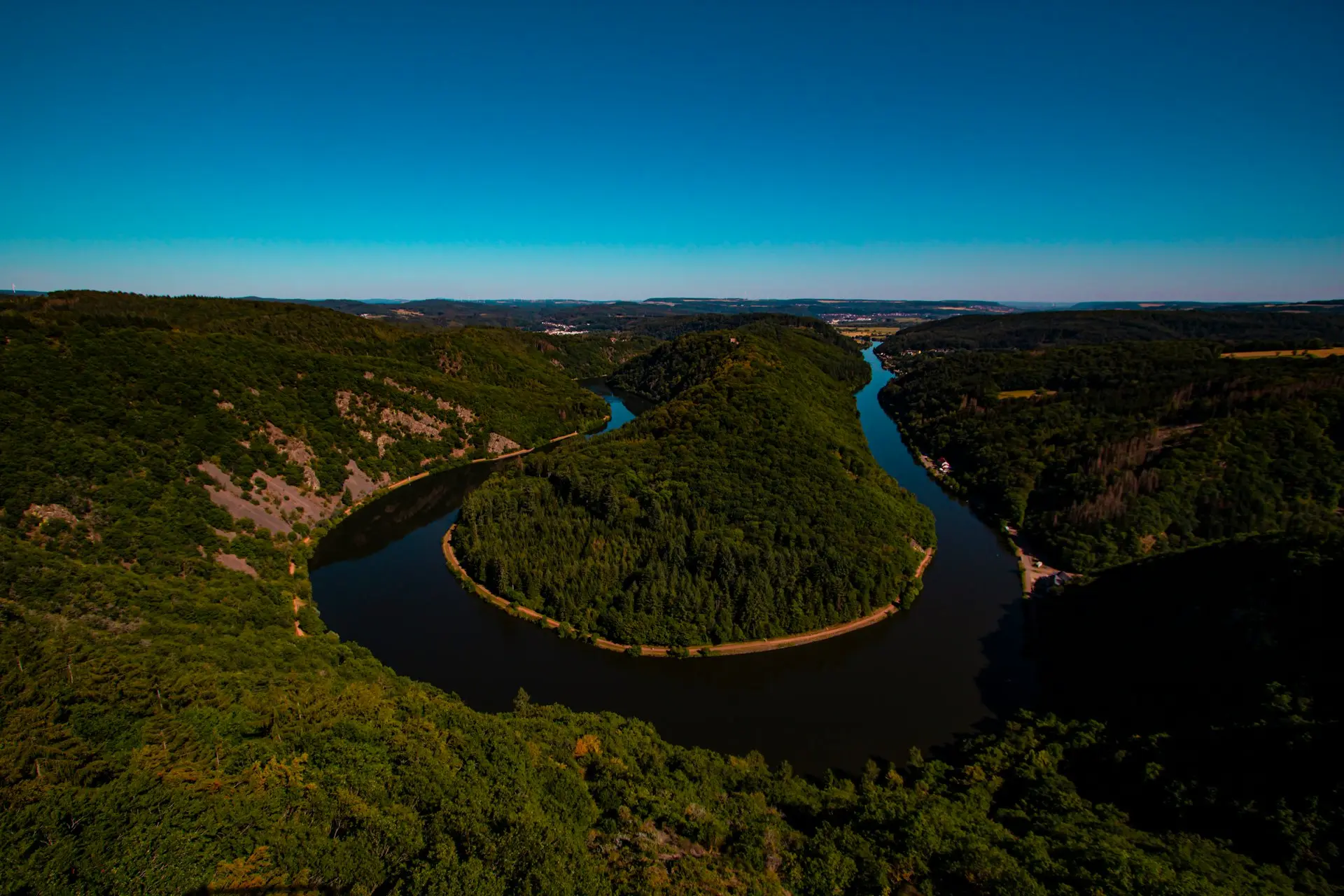 aerial view of green trees and river during daytime