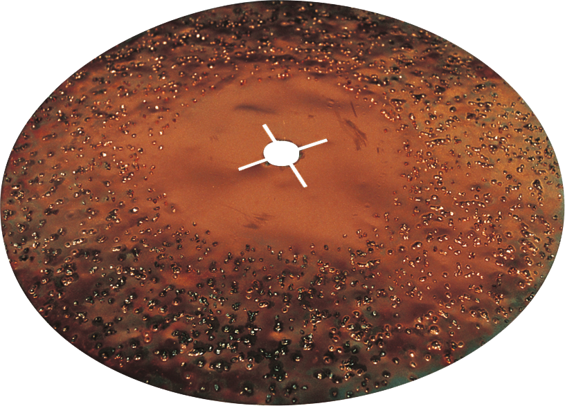 PAJ Widia Schleifscheibe 874/400 F 37140