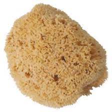 Storch Naturschwamm 18cm Mittelmeer-Qualität