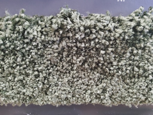 JOKA Teppichboden RIGOLETTO 500cm Farbe 28 x 500,0