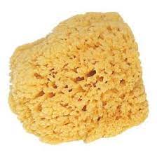 [S199210] Storch Naturschwamm 10-15cm